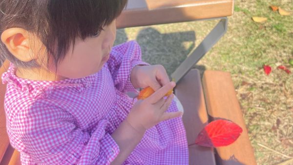 【守谷市】栄町公園で紅葉狩りを楽しむ