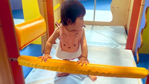 【守谷市】あそびの森もりっ子がオープン